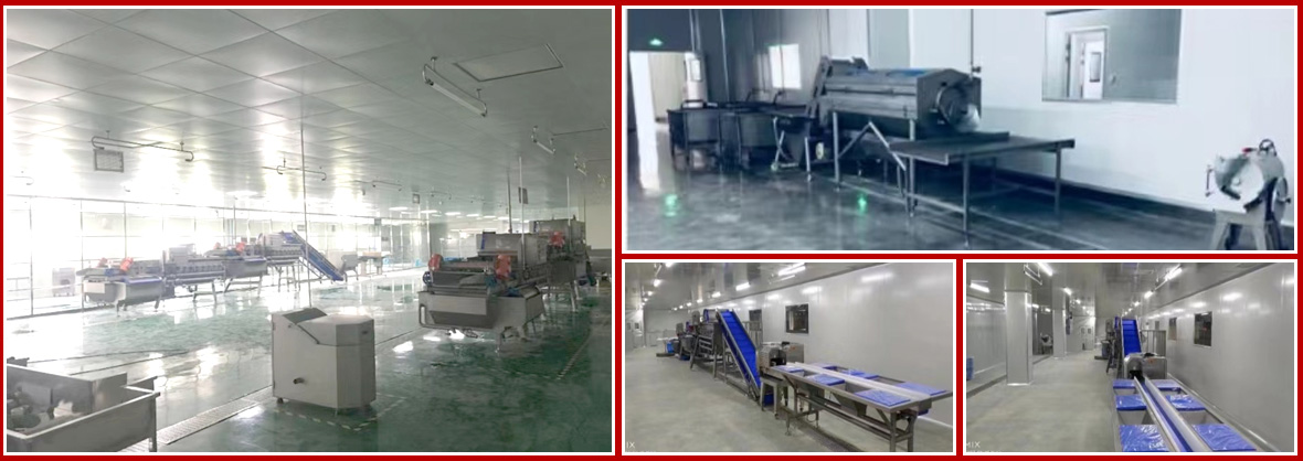 r(zhun)u(mi)(xing)Ŀ